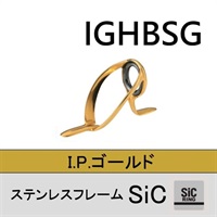 ステンレスSiC 両足ガイド／IGHBSG 8